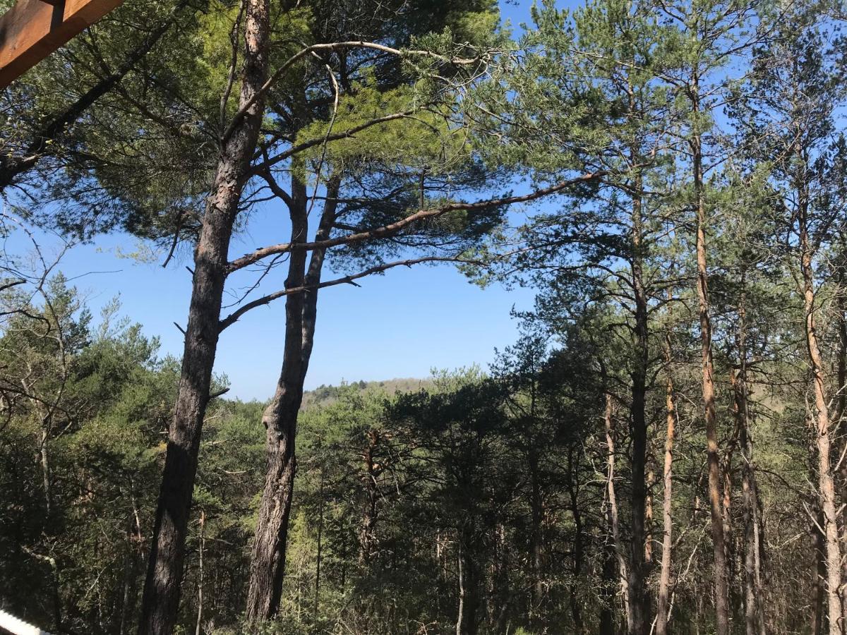 Admirez La Nature, Sejourner Differemment ! Montagnac  Ngoại thất bức ảnh
